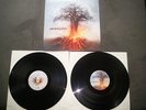 Amorphis - Skyforger