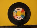 VHTF The Alley Kats Impact 31 VG+ Barbie / Lollipops SURF TEEN
