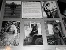 CHEROKEE MIST / GATHERING OF THE TRIBES / LP / RARE GUITAR PSYCH BLUESROCK /ORIG