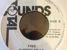 Burning Spear Free Black People Killer Roots 7