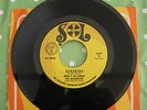 Bush - Nana Nina 45 - Panama Salsa VG++