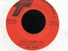 Northern Soul 45 THE MIST Life Walked Out / The Girl In The Window on Twinight