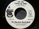 CHOCOLATE WATCH BAND--ARE YOU GONNA BE THERE / NO WAY OUT--TOWER 373, PROMO
