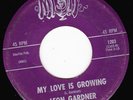 NORTHERN SOUL 45 RPM - LEON GARDNER on MISTY RECORDS