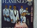 rare DOO WOP 