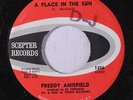 FREDDY ANISFIELD: A Place In The Sun / The Princess Of The Palace Of Ice 45 (dj