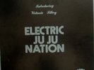ISLAND AFRO SOUL FUNK LP PLUNKY & ONENESS OF JU JU 