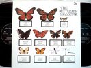 THE JAM BUTTERFLY COLLECTOR RARE 2LP LIVE no TMOQ PAUL WELLER MODS