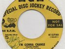 THE VELOURS-I'M GONNA CHANGE-MGM-***YELLOW DEMO***-***AUTOGRAPHED***