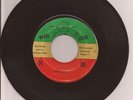 The Wailers -Nice Time - Hypocrite - Wail n Soul - 7''