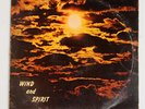 Eternal Savings and Trust Company Wind & Spirit Psych Folk LP Private label