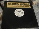 THE DANDY WARHOLS NOT IF YOU WERE THE LAST JUNKIE ON EARTH 12