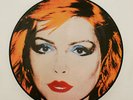 ANDY WARHOL ART PICTURE DISC LP BLONDIE