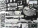 The Wonder Years Won't Be Pathetic Forever 2012 RSD /50 Vinyl OOP Rare Pop Punk