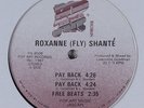 ROXANNE (FLY) SHANTE Pay Back POP ART 12