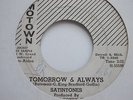 RARE MOTOWN  THE SATINTONES