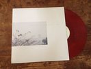 Wild Nothing? – Golden Haze LP - Captured Tracks Blank Dogs - RED VINYL Shoegaze