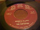 LISTEN THE FANTASTICS  
