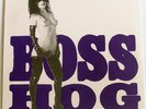 Boss Hog   Drinkin Lechin & Lyin'   RARE SEALED Vinyl LP Pussy Galore Sexy Nude