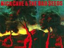 Nick Cave & The Bad Seeds  best of  double vinyl lp