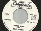 ROCKABILLY bw/ GARAGE the SEEDS--DAISY MAE--HEAR BOTH- 1965 PROMO GNP CRESCENDO