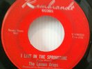 The Lemon Drops 1967 I Live In The Springtime Rare Original Garage Psych VG- NR