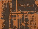 BROOKLYN SOUNDS  SUPER RARE SALSA LP   EXCELLENT CONDITION 