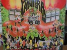 Pantera Projects in the Jungle RARE Vinyl LP '84