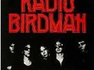 Radio Birdman - Radios Appear LP (Big Time Records, Aussie Rock, Punk, Victims)