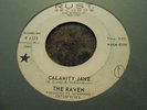 The Raven Calamity Jane freakbeat psych 45 on Rust