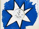INDIGO GIRLS LP Rites of Passage (UNIQUE HAND PAINTED ARTWORK by AMY RAY)