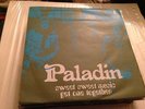 PALADIN - SPANISH 7