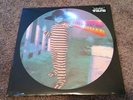ALEXANDER S/T Self Titled RARE NEW LP OOP Edward Sharpe And The Magnetic Zeros