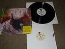 Meat Puppets LP SIGNED Too High To Die promo with 10
