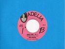 NEW HORIZON true love ADELIA modern soul 45 RARE *Listen*