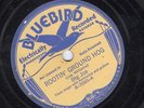 Big Joe Williams, Rootin' Ground Hog/I Won't Be in Hard Luck No More, Bluebird ?