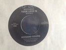 Ultra rare US Modern Soul Richard Adams Your love is   listen N MINT