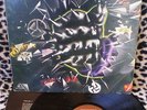 DECIBEL-PUNK-SPAGHETTI -ANNO 1978 DISCHI VINILE 33 GIRI 12