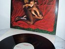 AFGHAN WHIGS CONGREGATION LP VINYL SUB POP RARISSIMO RARE MINT 