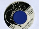 1012 ERICK CLARKE-WHEN JAH JAH COME-BLACK CAT-1975   REGGAE 45 7
