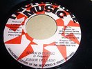 JUNIOR DELGADO 7'' STORM IS COMING KILLER ROOTS JA  INCREDIBLE MUSIC
