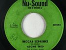 Reggae 45 ADOMS TREO / EQUITABLES Reggae Exprence / Old Time Kaio on Nu-Sound