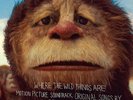 Where the Wild Things Are Soundtrack Vinyl LP