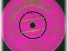 REG LINDSAY THE WALKABOUT ROCK AND ROLL OZ ONLY COUNTRY 45 on PINK COLUMBIA