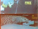 LP Free Tons of Sobs      pink Isl.