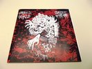 HATRED SURGE - INSECT WARFARE - GULF COAST - GRINDCORE #34/100 - LIMITED
