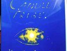 CANDLE TRIBE Nothing But A Feelin' LP RARE MODERN SOUL BOOGIE, SEALED  Hear
