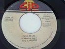 THE TAMLINS - OPEN MIND / VERSION - CJD 7
