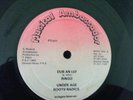 Edi Fitzroy Ringo - First Class Citizen / Roots Radics - First Class Dub   VG++