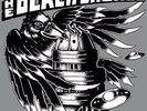 BLACK CROWES - WISER FOR THE TIME 4LP VINYL BOX SET (MARCH 18th 2013)